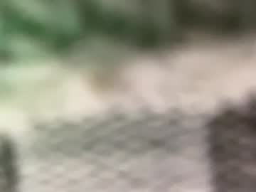 Olivia Rose video